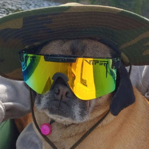 Meet your Posher, Harrison